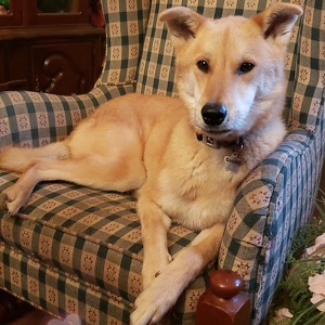 Fundraising Page: Cosmo Pac Alum